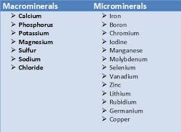 Minerals Phenomnomenal Health
