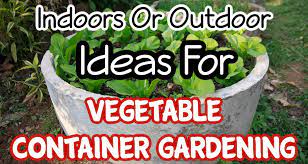 Vegetable Container Gardening Ideas For