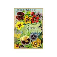 Antique Flower Garden Seed Catalog