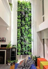 Interior Plant Design Style By Living