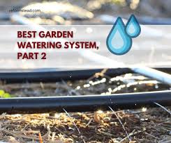 Best Garden Watering System