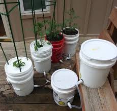 5 Gallon Self Watering Tomato Container