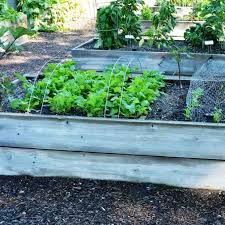 Do Raised Garden Beds Need To Be Buried
