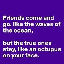 Best and Funny Friendship Quotes . Only for best friends | Quotes ... via Relatably.com