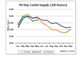 Forget Stocks And Bonds Get Bullish On Live Cattle Futures