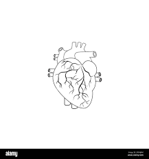 Tatouage de battement de coeur Banque d'images vectorielles - Alamy