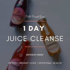 detox juice cleanse organic programs