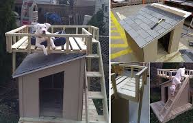 Diy Dog House With Roof Top Deck Dog