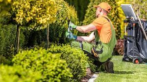 Best Landscapers Near Me Forbes