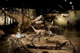 dinosaurs at the royal tyrrell museum