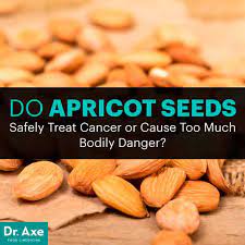 apricot seeds laetrile or vitamin b17