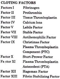 Blood Clotting Mechanisms And Stages Blood Hematology