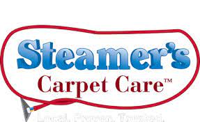 carpet cleaning carpet care