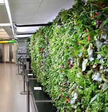 Heathrow Airport Debuts Living Wall To