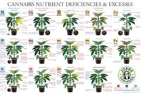 Nutrient Deficiencies And Toxicity Chart Ive Used This As