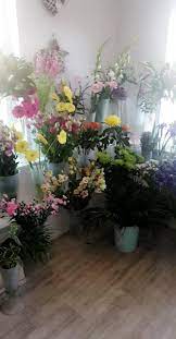 See more of flowers of distinction on facebook. Flowers Of Distinction Home Facebook