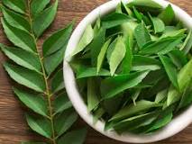 What will happen if I eat curry leaves everyday?