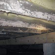 mold on floor joists how to remove mold