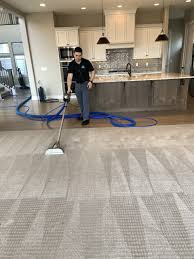 boise carpet cleaners safe n soft