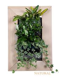 Biovertigo Wood Vertical Garden Kit