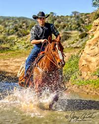 Cowboy Riding Horse Cowboy Horse