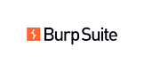 What is Burp Suite Professional