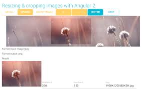 Resizing And Cropping Images With Angular 2 Angular Script