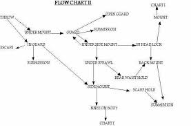 Bjj Flow Chart Brazilian Jiu Jitsu Chart Jiu Jitsu