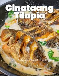 ginataang tilapia recipe yummy kitchen