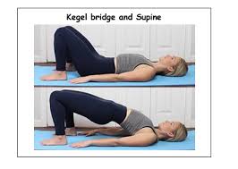 pelvic floor muscle exercises for women