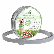 Seresto Foresto Flea And Tick Collar For Large Dogs Over Pet