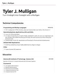 Resume CV Cover Letter  sample resume format in simple resume     bold design example