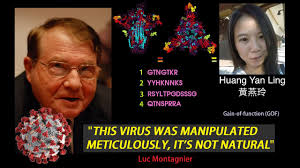 Luc Montagnier HIV Nobel Prize Winner Says Virus "Bio-engineered" in Lab  黄艳玲 17/04/20 - YouTube