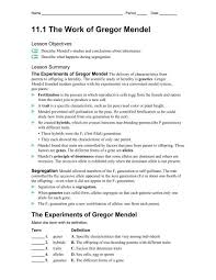 Mendel and basic genetics packet ws answers : 11 1 The Work Of Gregor Mendel My Ccsd