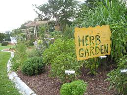 Grow An Herb Garden Gardening In The