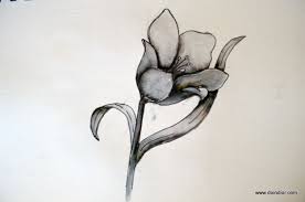 It'r really easy to make and you can even use. 30 Flower Drawing Tutorials Diy Projects For Teens