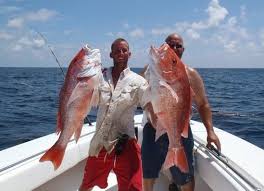 History Of Management Of Gulf Of Mexico Red Snapper Noaa