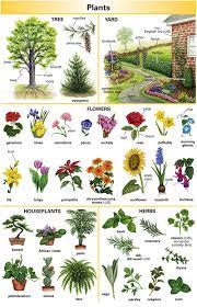 garden definition meaning