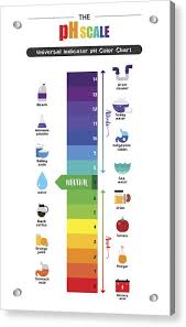 The Ph Scale Universal Indicator Ph Color Chart Diagram By B44022101