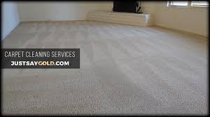 the best carpet cleaning company