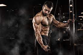 sports bodybuilding hd wallpaper