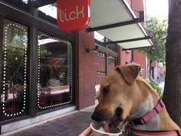 dog friendly restaurants not bars in