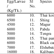 The Price Chart Of Egg And Hatchling In Chachra Region