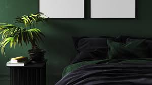 keep plants in the bedroom