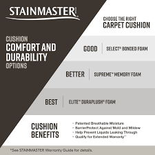 stainmaster sle coquina charcoal