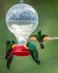 how to make hummingbird nectar leite