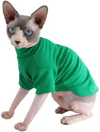 Long sleeved shirt for chinese crested dogs and hairless cats. Amazon Com Sphynx Cat Clothes Winter Thick Cotton T Shirts Double Layer Pet Clothes Pullover Kitten Shirts With Sleeves Hairless Cat Pajamas Apparel For Cats Small Dogs M 5 5 7 1 Lbs Green Pet