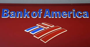 For instance, we are unable to see deposits until they post. Bank Of America Child Savings Account Review Bank Professor
