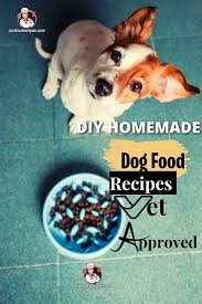 diy homemade dog food recipes vet approved
