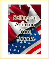 Did you ever need a household however, solo business owners can start it with one business account. Have You Considered Selling On Amazon Com From Canada But Were Unsure How To Get Started If So Then This Guide Is Amazon Jobs Sell On Amazon Amazon Marketing